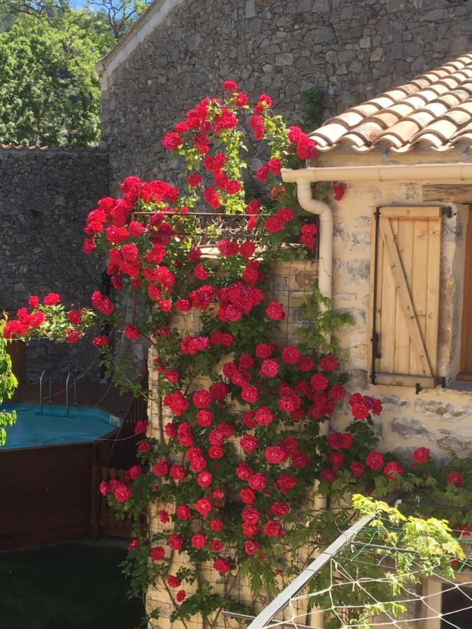 Holidays In Lagrasse Eksteriør billede